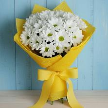 Букет цветов из:  Хризантемы в Красочном