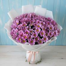 Букет цветов из:  Хризантемы в Красочном